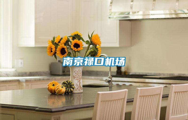 南京祿口機場