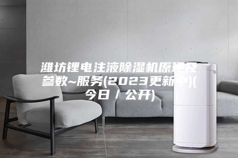 濰坊鋰電注液除濕機原理及參數~服務(2023更新中)(今日/公開)