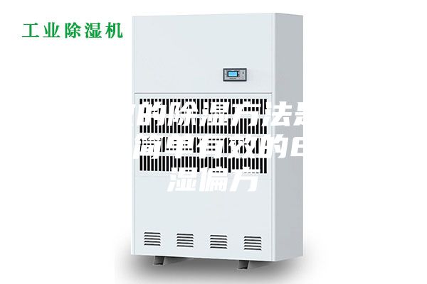 最有效的除濕方法是什么 牢記簡單有效的8個除濕偏方