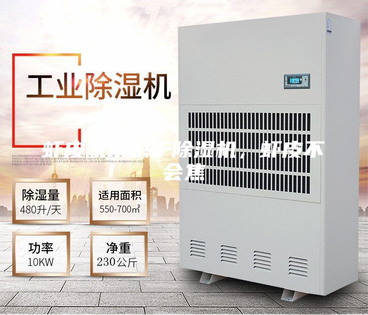 蝦皮脫水烘干除濕機，蝦皮不會焦