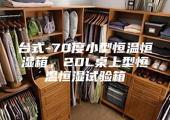 臺式-70度小型恒溫恒濕箱，20L桌上型恒溫恒濕試驗箱