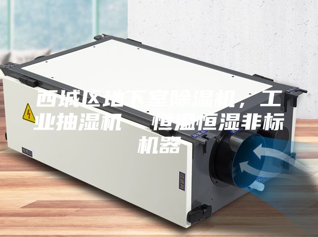 西城區(qū)地下室除濕機，工業(yè)抽濕機  恒溫恒濕非標機器