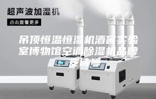 吊頂恒溫恒濕機酒窖實驗室博物館空調(diào)除濕機品牌:安詩曼