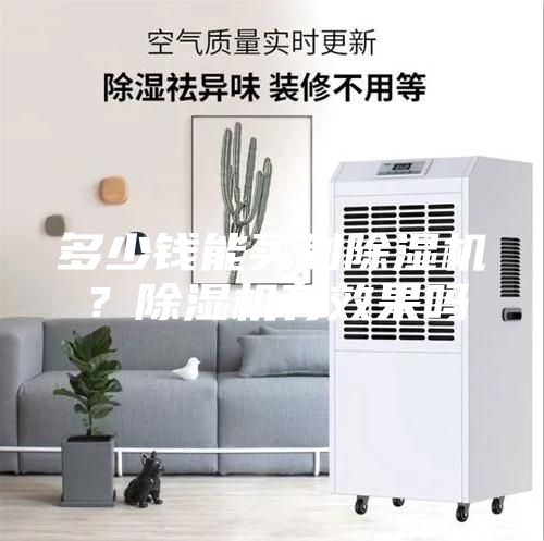 多少錢能買到除濕機(jī)？除濕機(jī)有效果嗎
