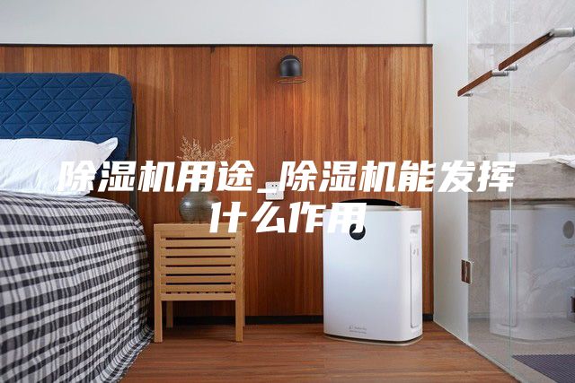 除濕機用途_除濕機能發揮什么作用