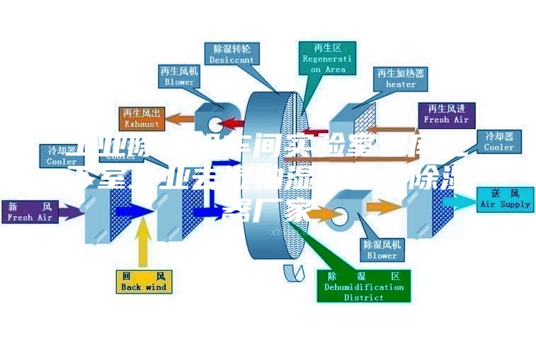 工業(yè)除濕機車間實驗室倉庫地下室工業(yè)去濕抽濕器工業(yè)除濕器廠家