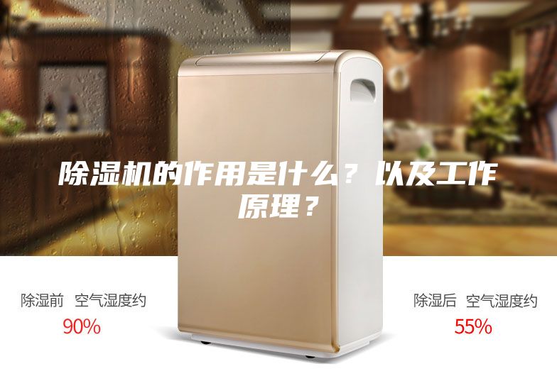 除濕機的作用是什么？以及工作原理？