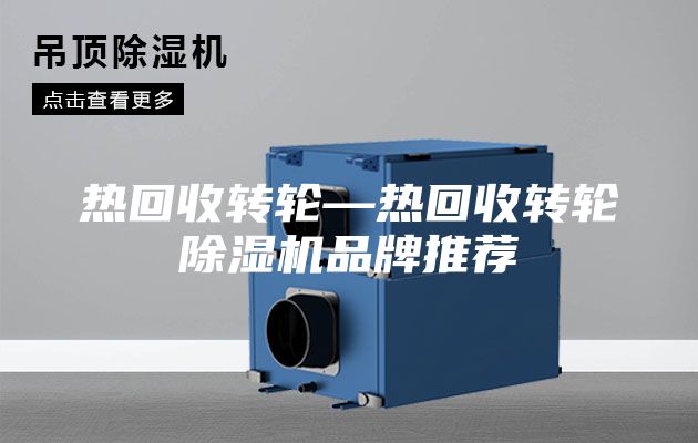 熱回收轉(zhuǎn)輪—熱回收轉(zhuǎn)輪除濕機(jī)品牌推薦