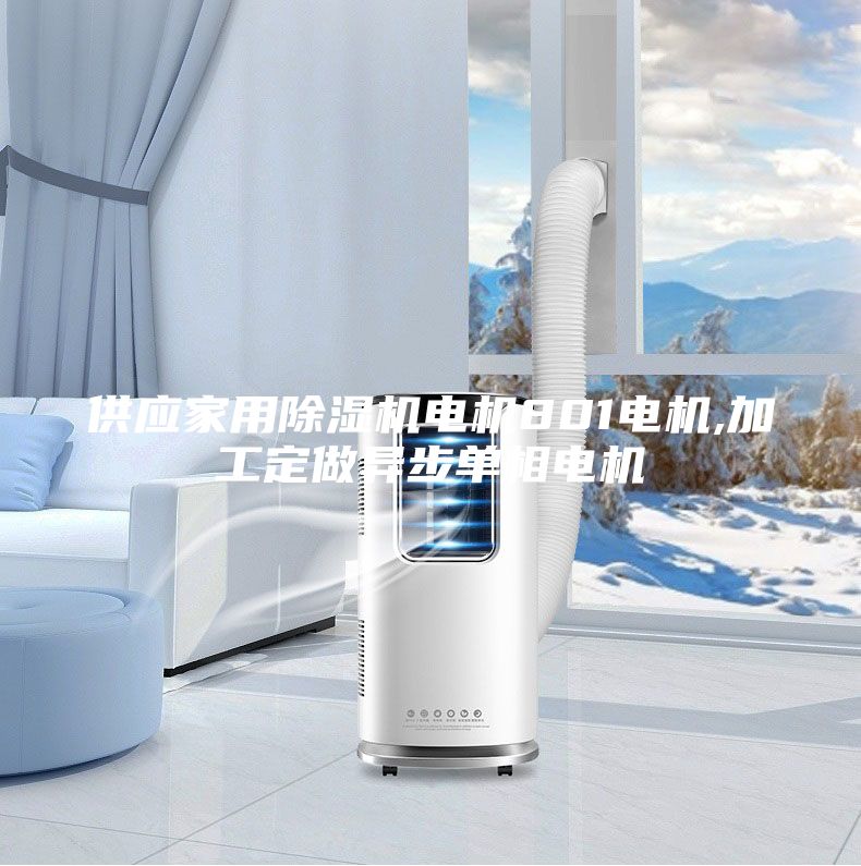 供應家用除濕機電機801電機,加工定做異步單相電機