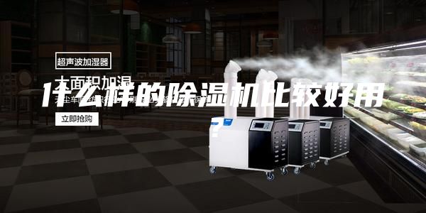 什么樣的除濕機(jī)比較好用？