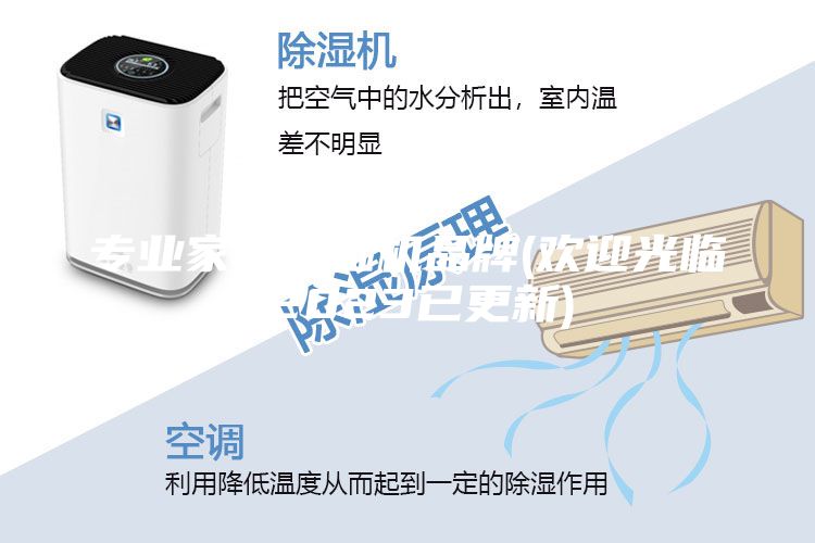 專業(yè)家用除濕機品牌(歡迎光臨-2023已更新)