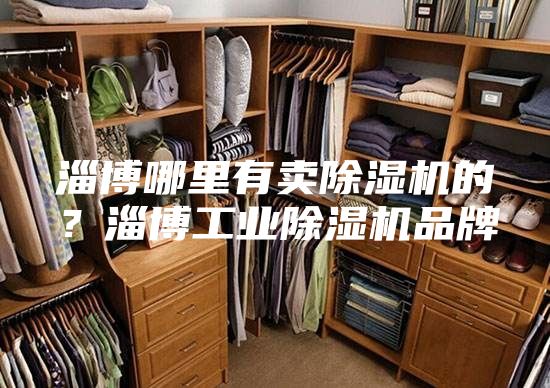 淄博哪里有賣除濕機的？淄博工業除濕機品牌