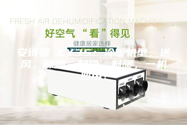 安詩曼 KY35:冷暖機型,送風,除濕,制冷,制暖,一機四用!