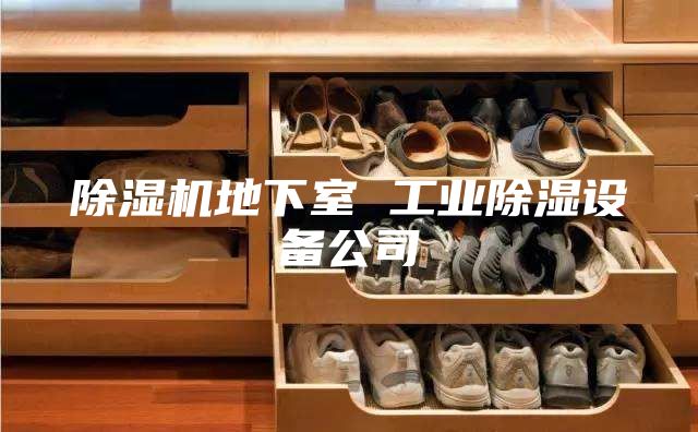 除濕機地下室 工業(yè)除濕設(shè)備公司
