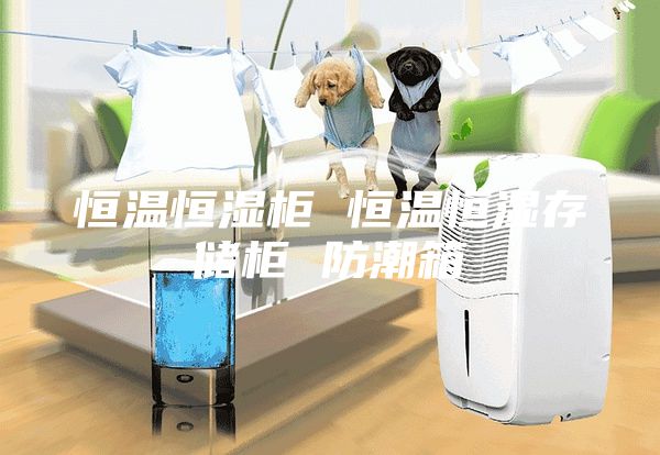 恒溫恒濕柜 恒溫恒濕存儲柜 防潮箱