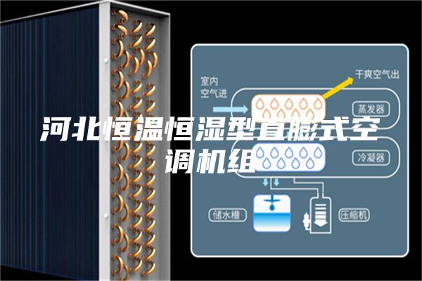 河北恒溫恒濕型直膨式空調(diào)機(jī)組