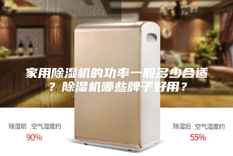 家用除濕機的功率一般多少合適？除濕機哪些牌子好用？