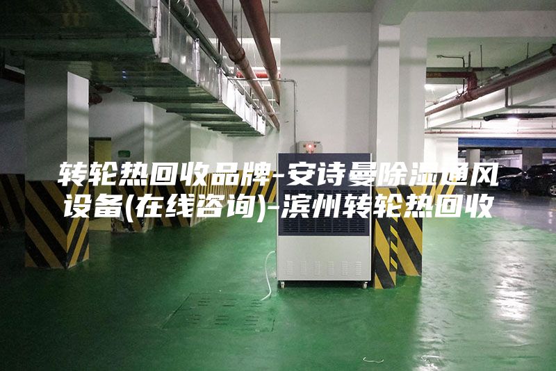 轉(zhuǎn)輪熱回收品牌-安詩(shī)曼除濕通風(fēng)設(shè)備(在線咨詢)-濱州轉(zhuǎn)輪熱回收