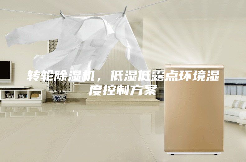 轉(zhuǎn)輪除濕機,低濕低露點環(huán)境濕度控制方案