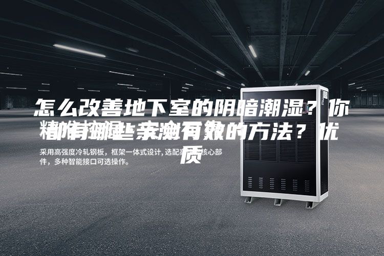 怎么改善地下室的陰暗潮濕？你都有哪些親測有效的方法？優質
