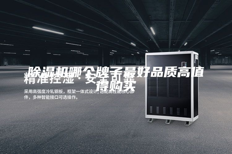 除濕機(jī)哪個牌子最好品質(zhì)高值得購買