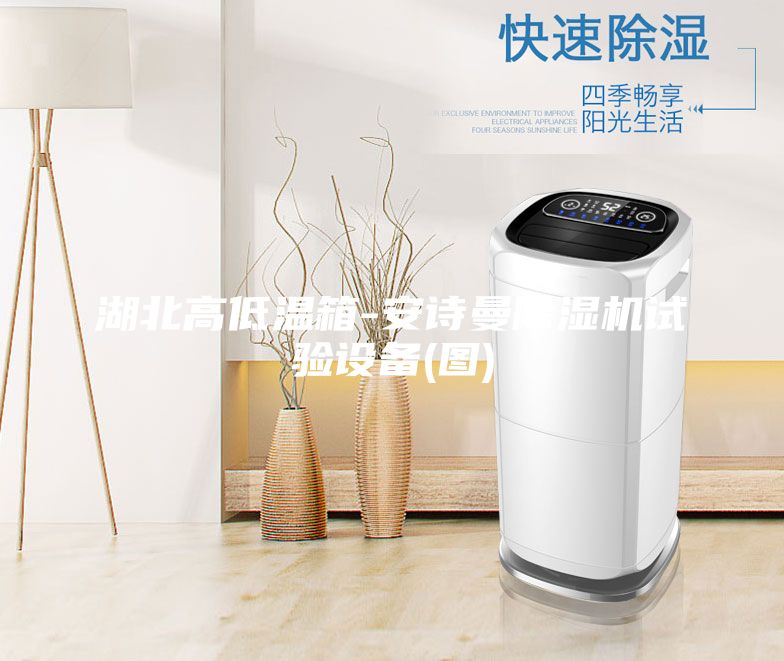 湖北高低溫箱-安詩曼除濕機試驗設備(圖)