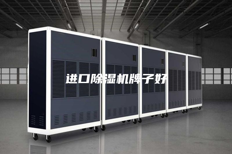 進口除濕機牌子好