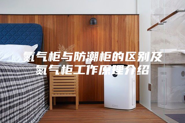 氮?dú)夤衽c防潮柜的區(qū)別及氮?dú)夤窆ぷ髟斫榻B