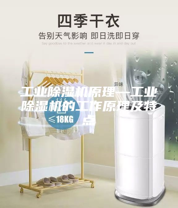 工業(yè)除濕機(jī)原理—工業(yè)除濕機(jī)的工作原理及特點(diǎn)