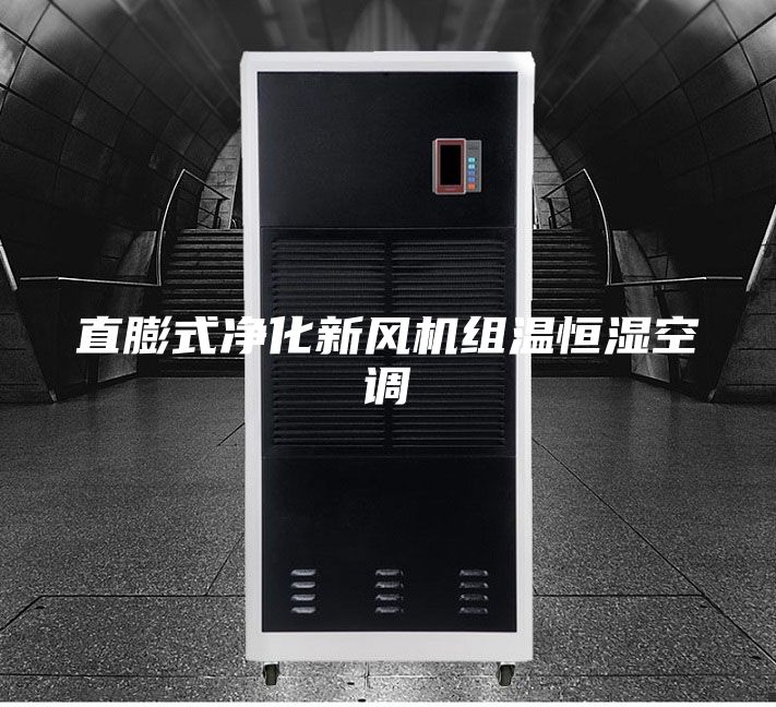 直膨式凈化新風(fēng)機(jī)組溫恒濕空調(diào)