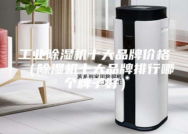 工業除濕機十大品牌價格（除濕機十大品牌排行哪個牌子好）