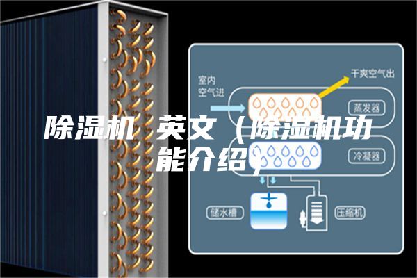 除濕機 英文（除濕機功能介紹）