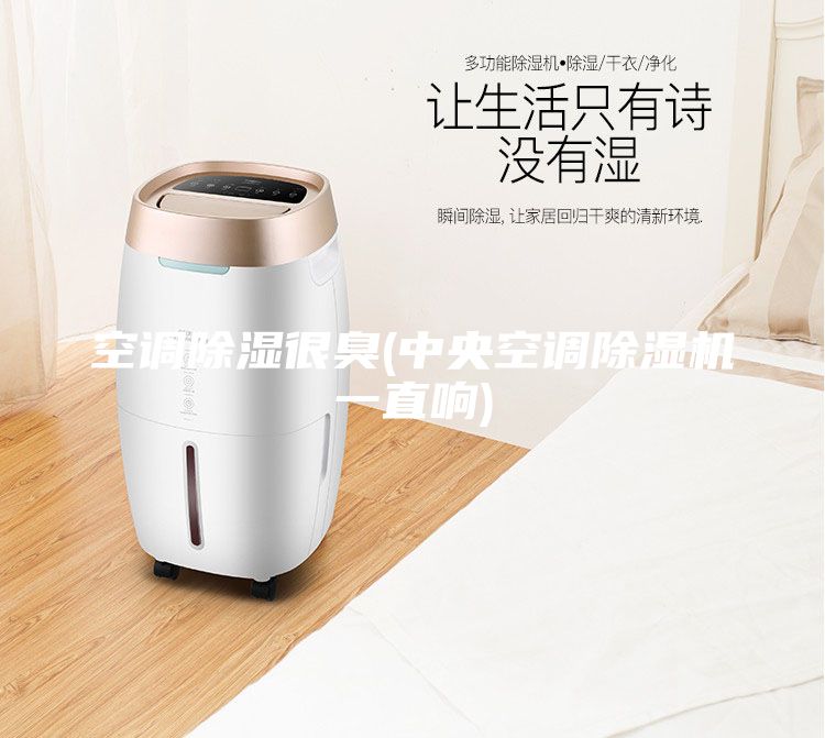 空調(diào)除濕很臭(中央空調(diào)除濕機(jī)一直響)