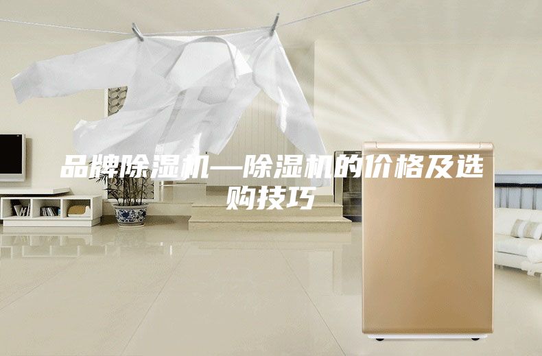 品牌除濕機(jī)—除濕機(jī)的價(jià)格及選購(gòu)技巧