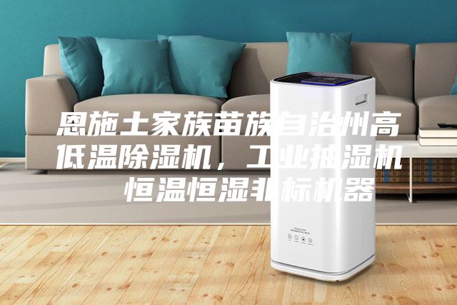 恩施土家族苗族自治州高低溫除濕機,工業抽濕機 恒溫恒濕非標機器