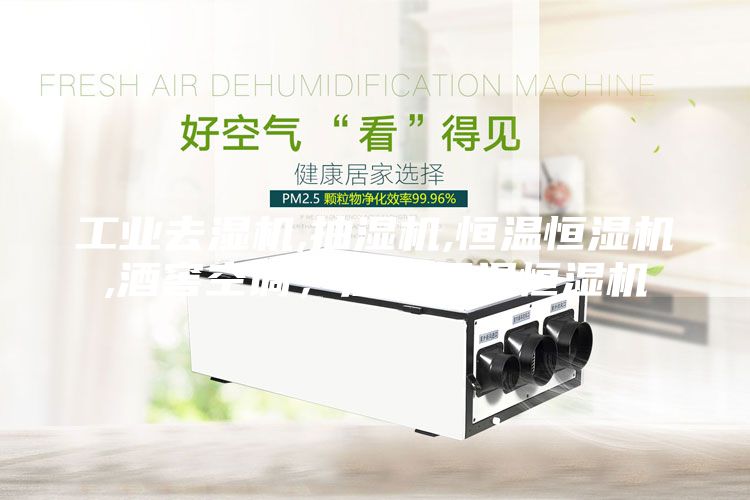 工業(yè)去濕機(jī),抽濕機(jī),恒溫恒濕機(jī),酒窖空調(diào)，酒窖恒溫恒濕機(jī)