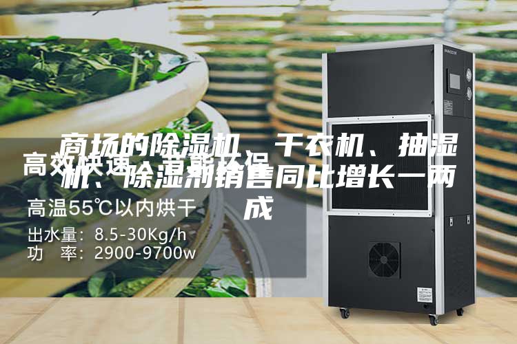 商場的除濕機、干衣機、抽濕機、除濕劑銷售同比增長一兩成