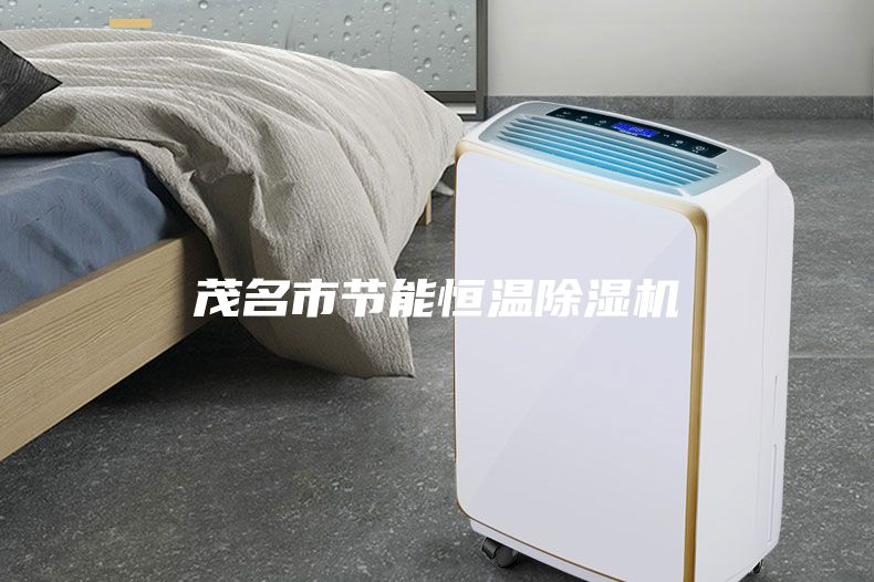 茂名市節能恒溫除濕機