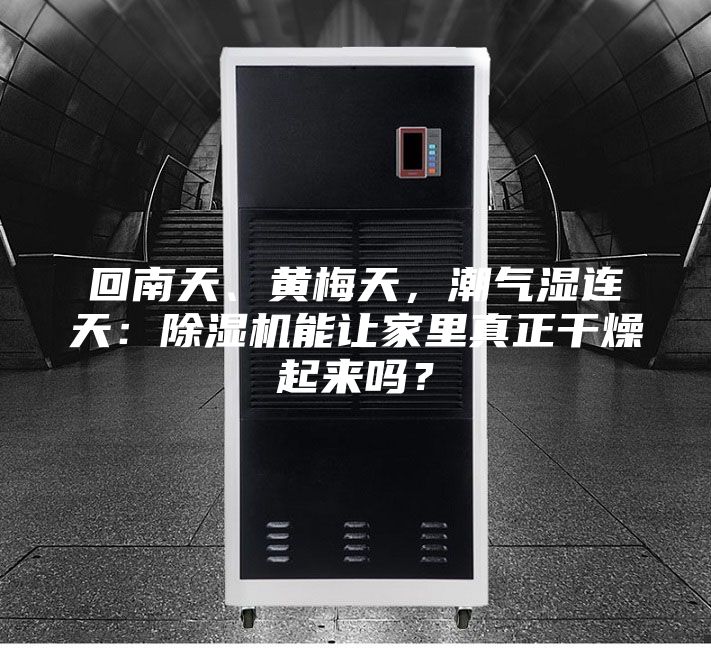 回南天、黃梅天，潮氣濕連天：除濕機能讓家里真正干燥起來嗎？