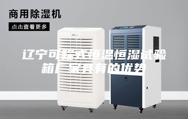 遼寧可程式恒溫恒濕試驗箱廠家具有的優(yōu)勢