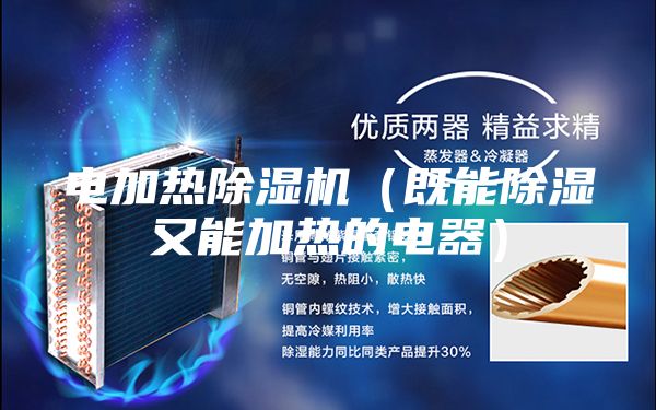 電加熱除濕機(jī)（既能除濕又能加熱的電器）