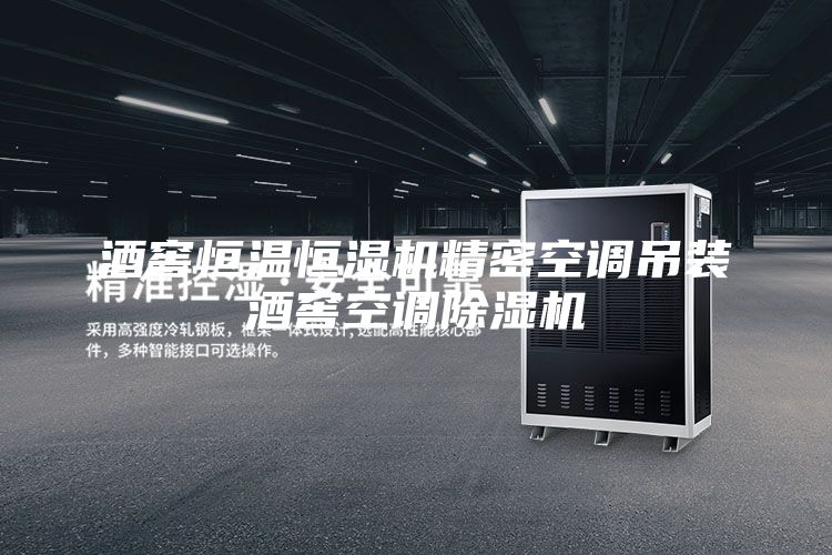 酒窖恒溫恒濕機精密空調吊裝酒窖空調除濕機