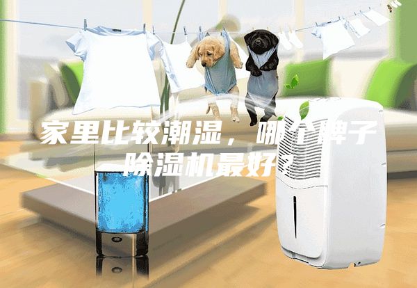 家里比較潮濕,哪個牌子除濕機最好?