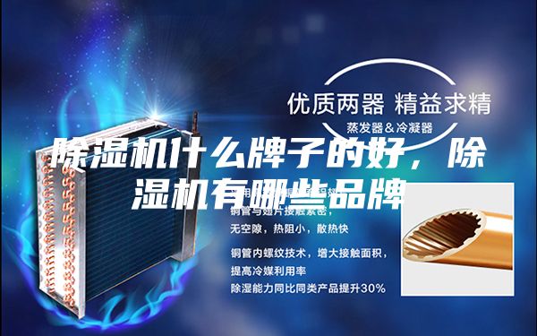 除濕機什么牌子的好,除濕機有哪些品牌