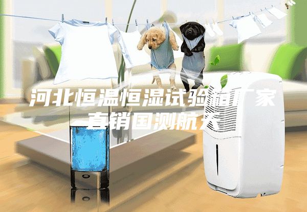 河北恒溫恒濕試驗(yàn)箱廠家直銷國測航天
