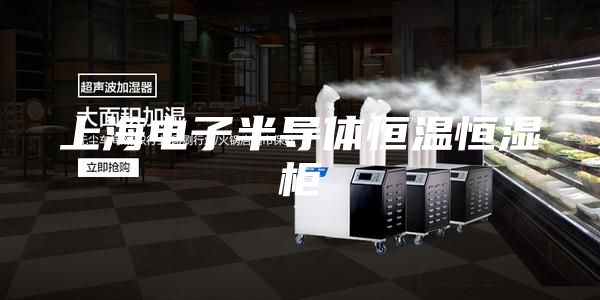 上海電子半導體恒溫恒濕柜