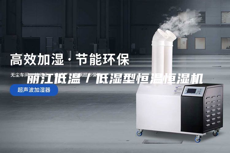 麗江低溫／低濕型恒溫恒濕機