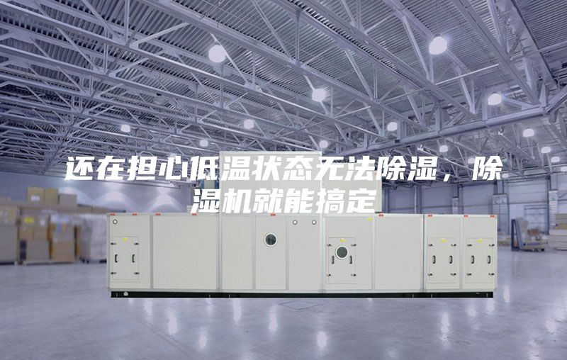 還在擔心低溫狀態無法除濕，除濕機就能搞定
