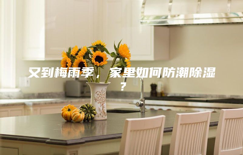 又到梅雨季，家里如何防潮除濕？