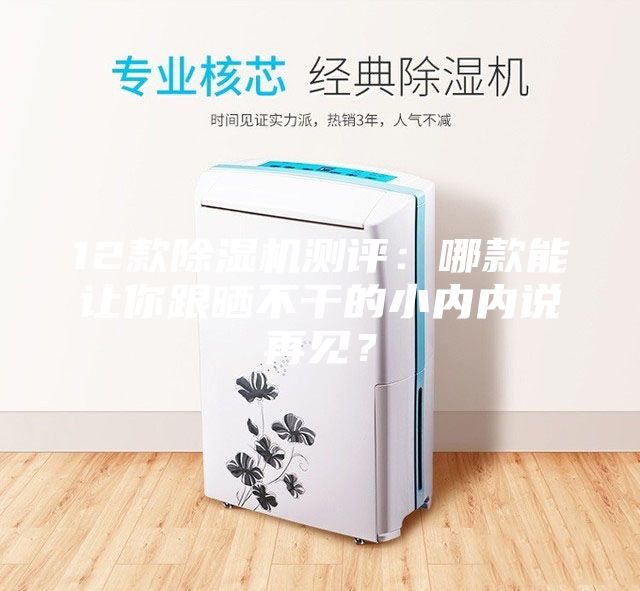 12款除濕機測評：哪款能讓你跟曬不干的小內內說再見？